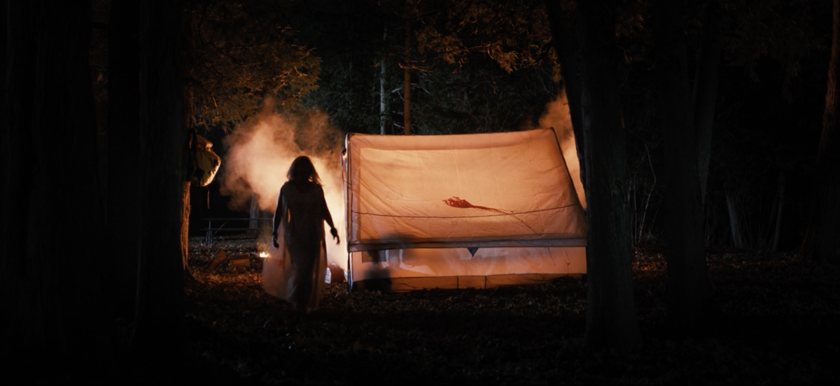 The Camp Host still 8