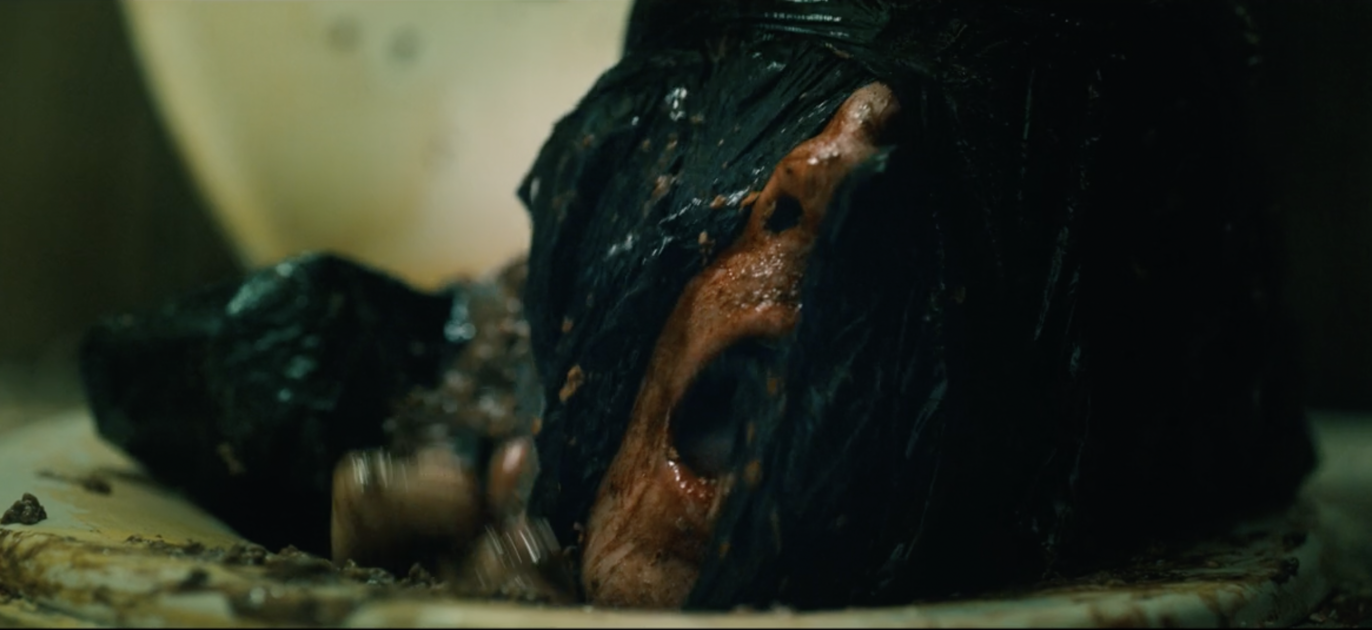 The Camp Host still 7