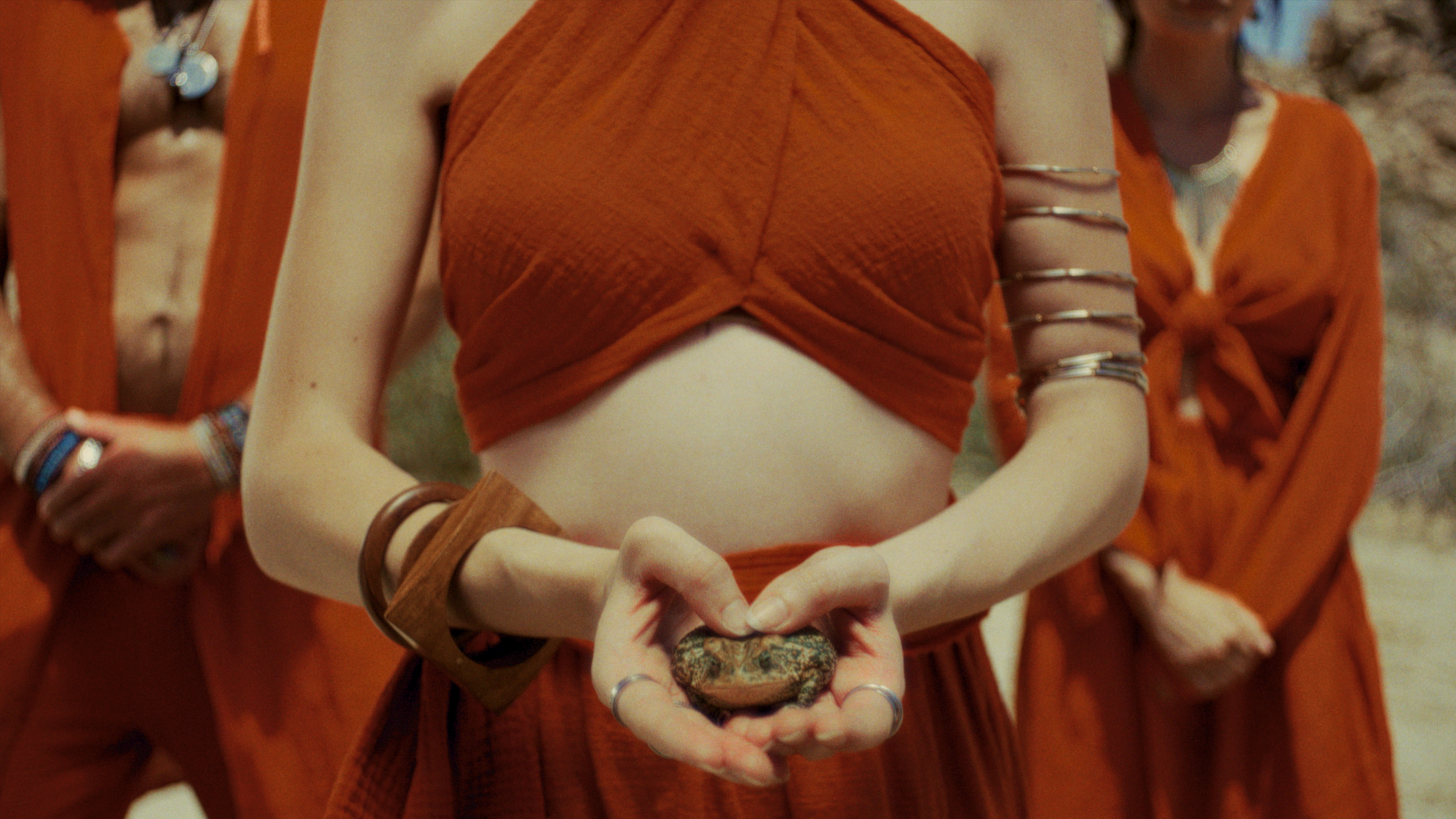 Where the Flowers Never Grow still 3