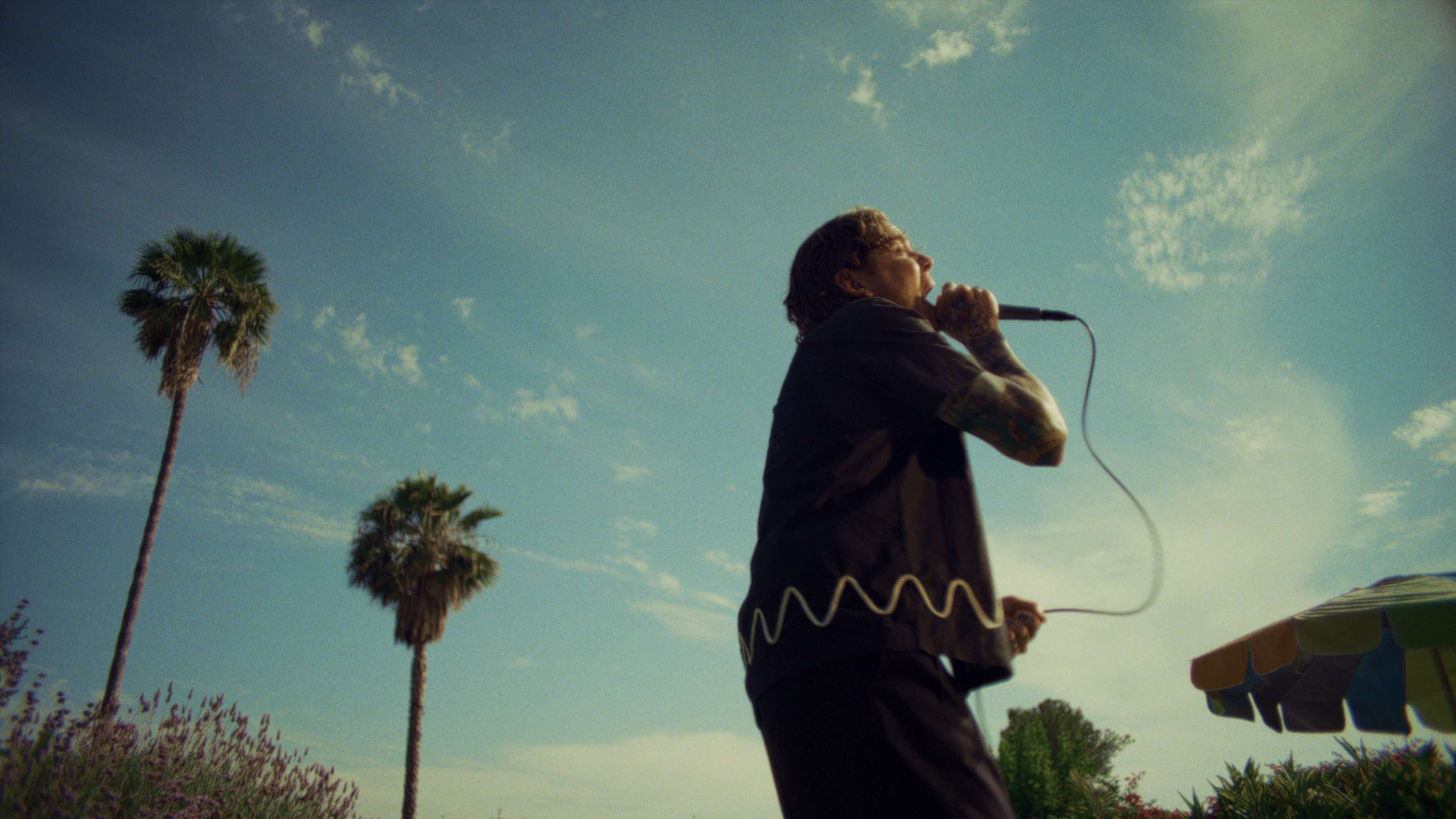 Where the Flowers Never Grow still 5